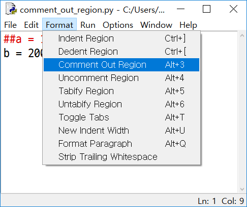 IDLE에서 'Format' > 'Comment Out Region'